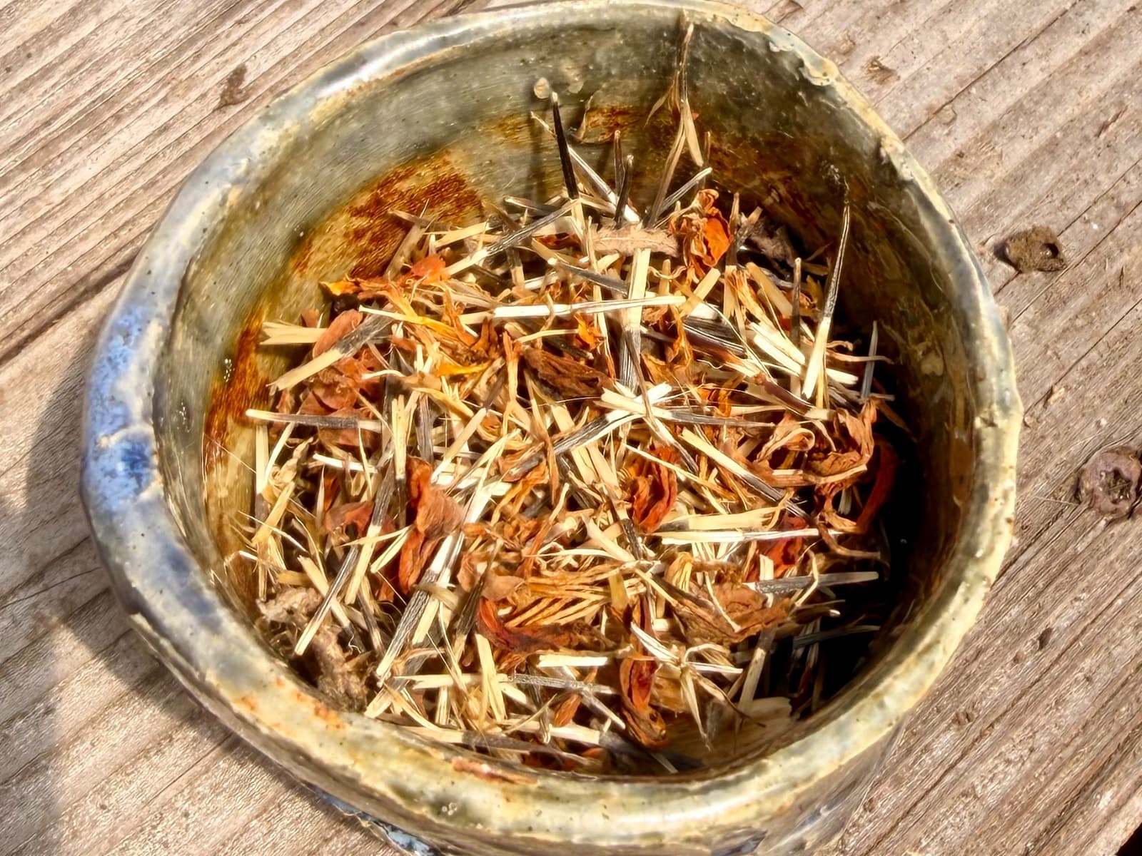 Marigold Seeds, photo 1 of 3