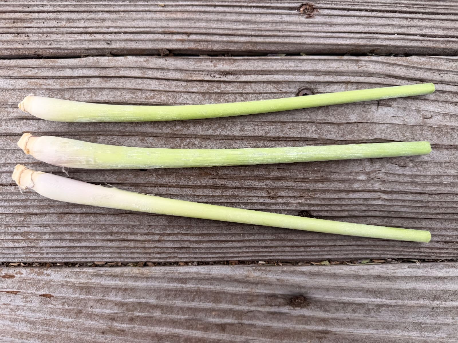 Fresh Lemongrass, photo 1 of 2
