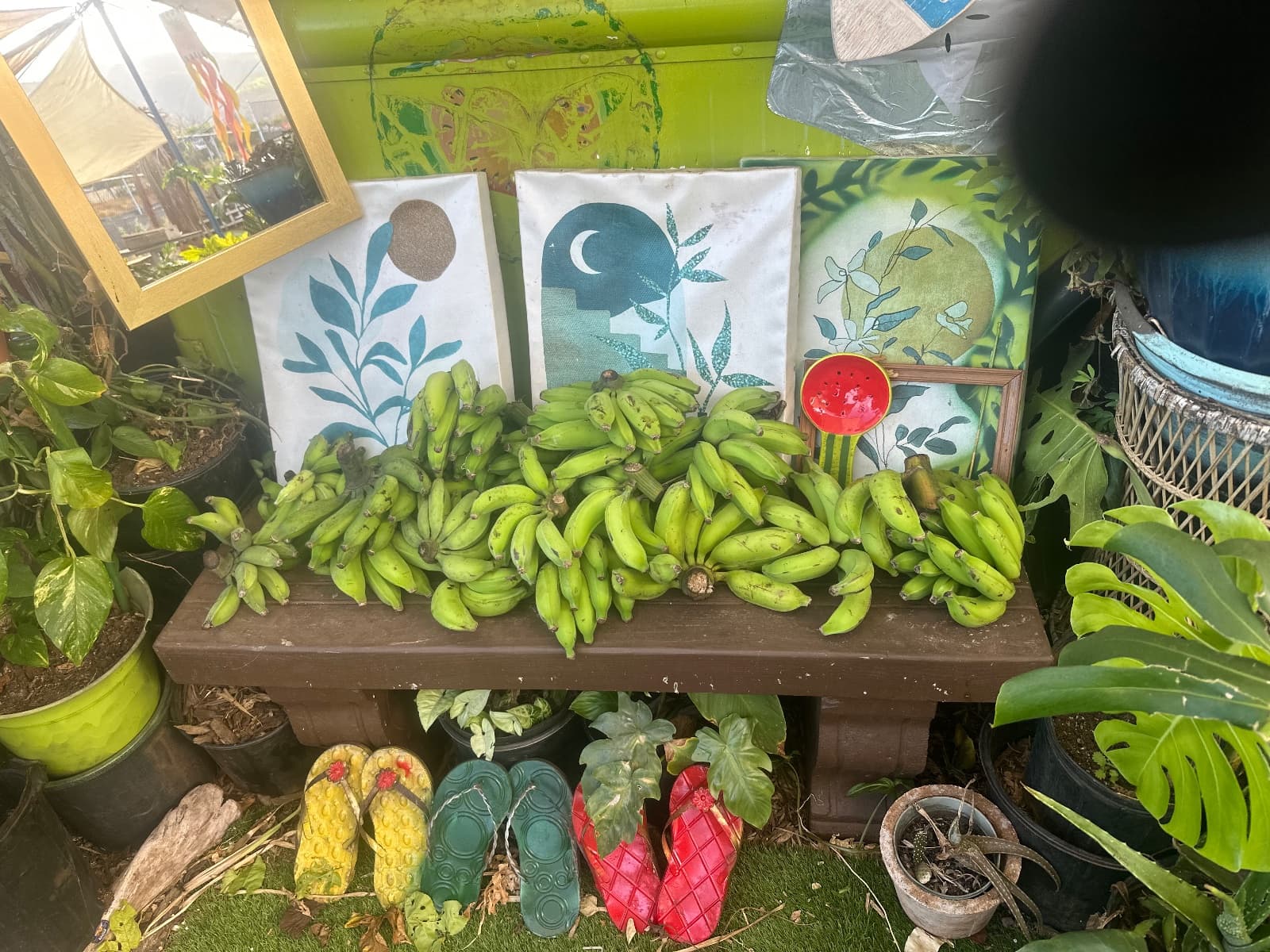 Kipahulu fruits, Avocado, Banana, Mango, Maui gold pineapples, and anything else, photo 1 of 1