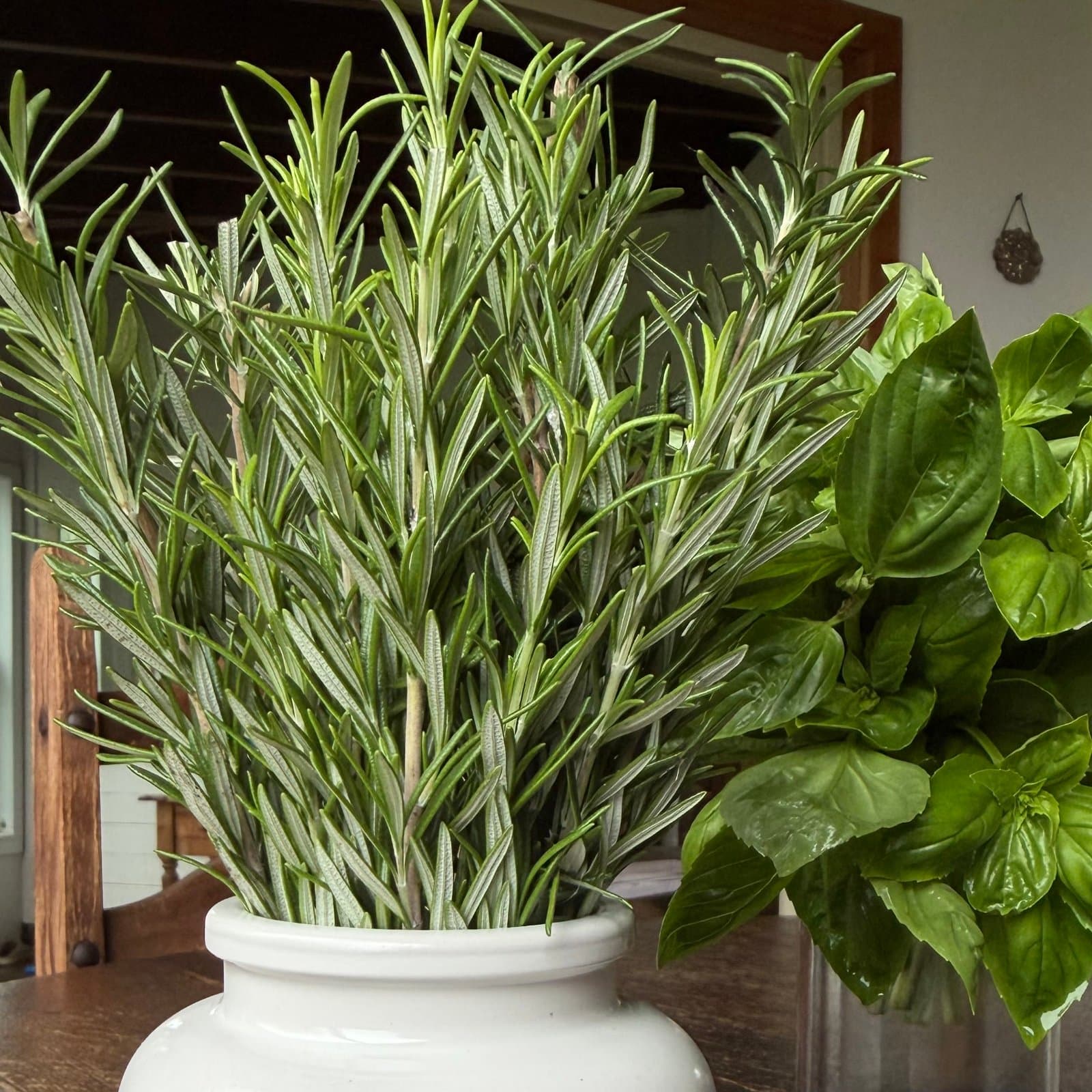 Fresh Rosemary, photo 1 of 2