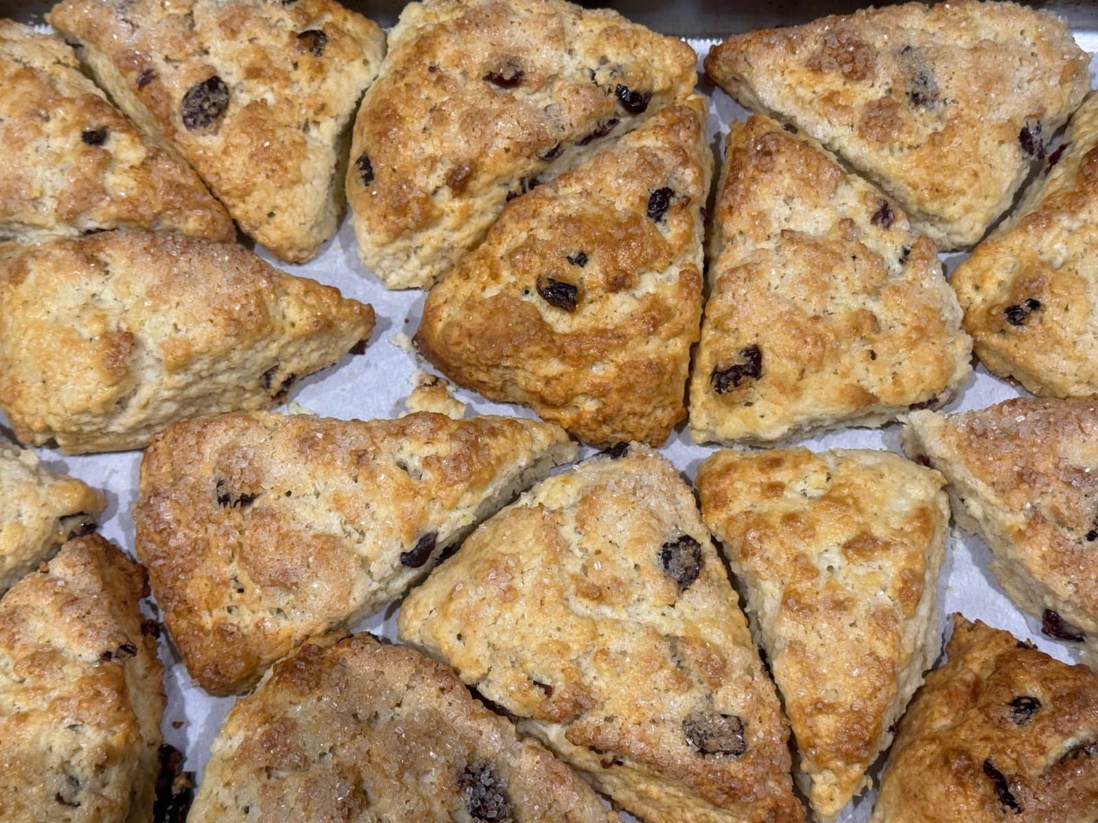Cranberry Lemon Scones, photo 1 of 1