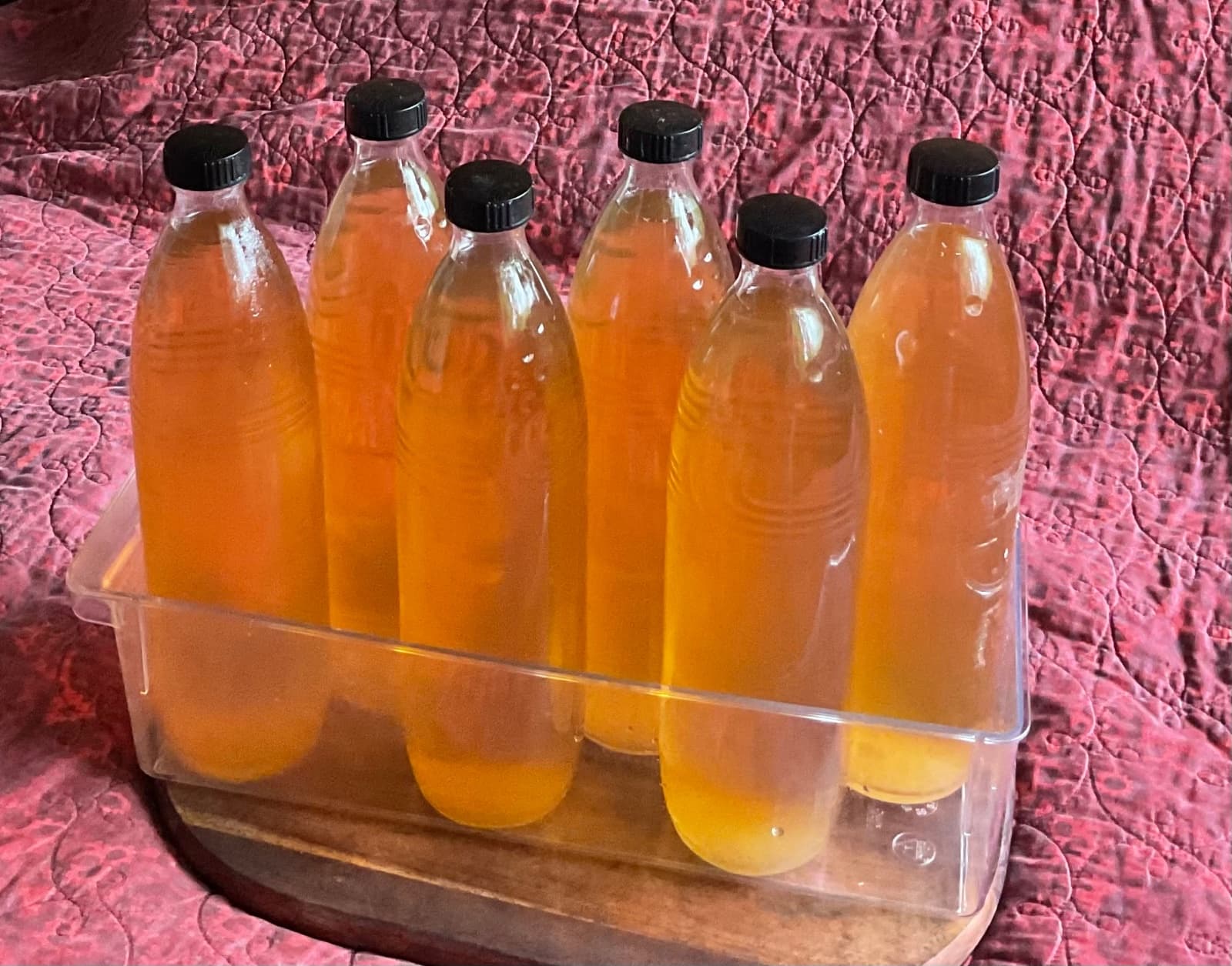 Kombucha, photo 1 of 1